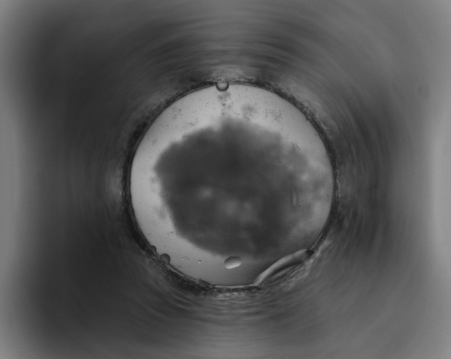 X0000094210353200711161833
