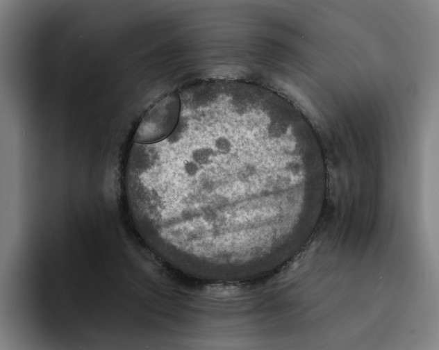 X0000094210354200711161833