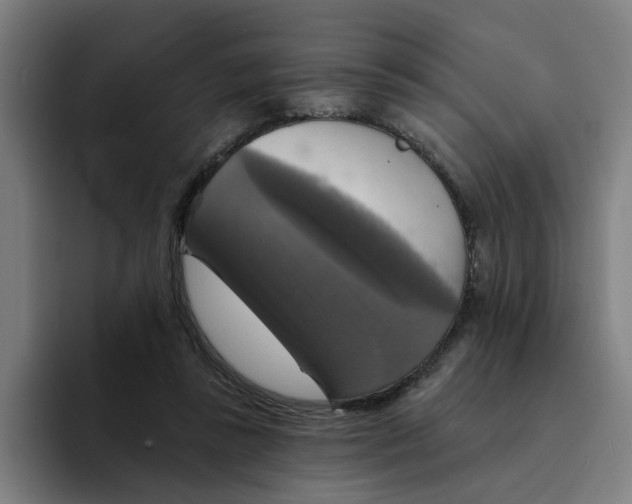 X0000094210355200711161833