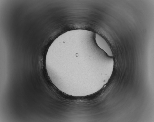 X0000094210356200711161833