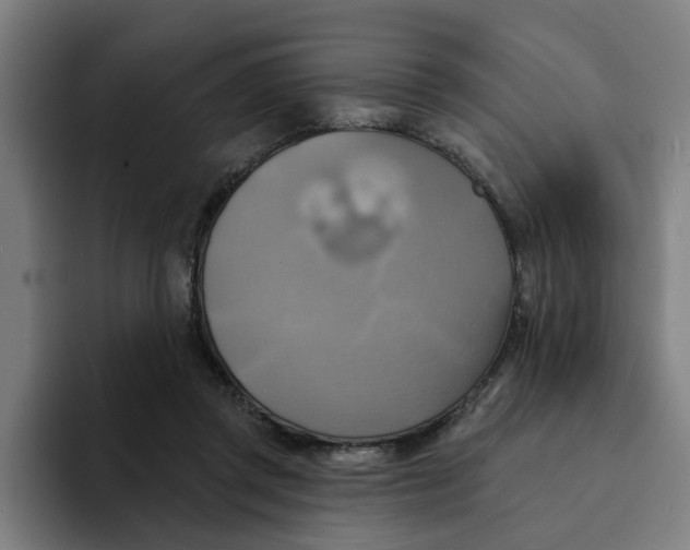 X0000094210357200711161833