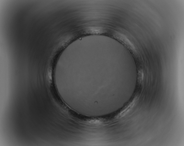 X0000094210358200711161833