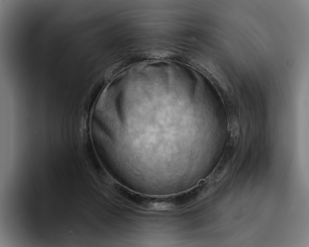 X0000094210360200711161833