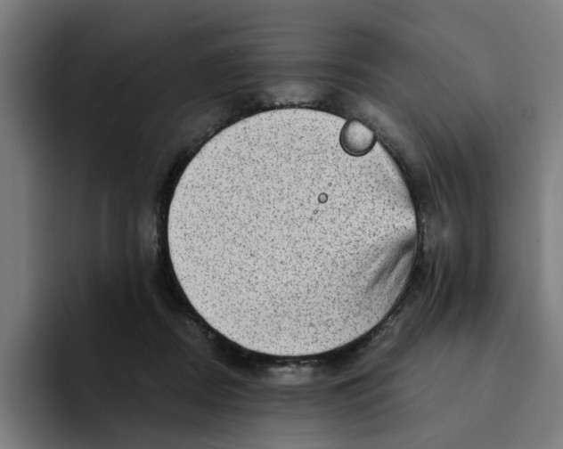 X0000094210362200711161833