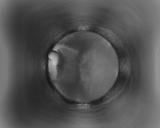 X0000094210363200711161833