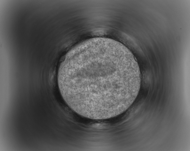 X0000094210364200711161833