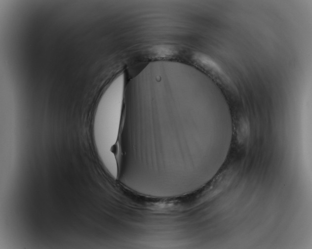 X0000094210366200711161833