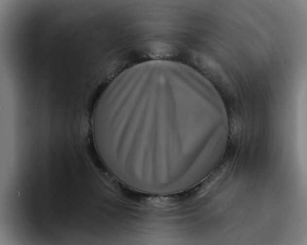 X0000094210367200711161833