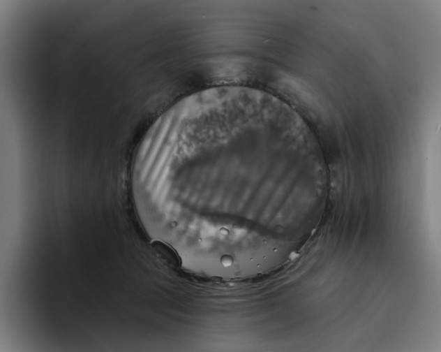 X0000094210369200711161833
