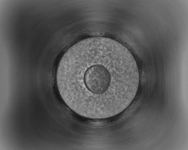 X0000094210370200711161833