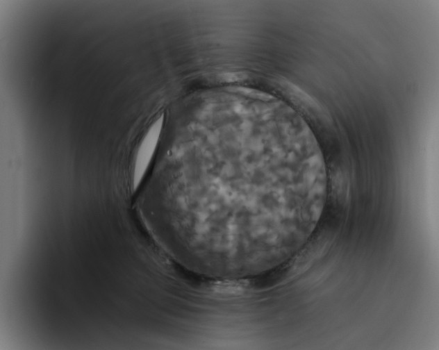 X0000094210373200711161833