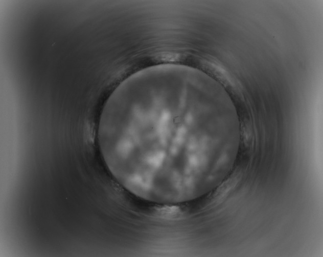 X0000094210374200711161833