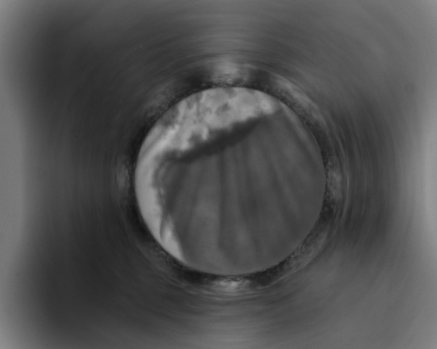 X0000094210375200711161833