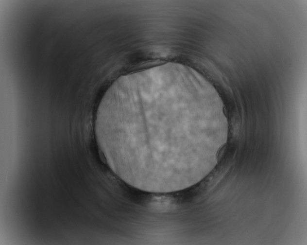 X0000094210376200711161833