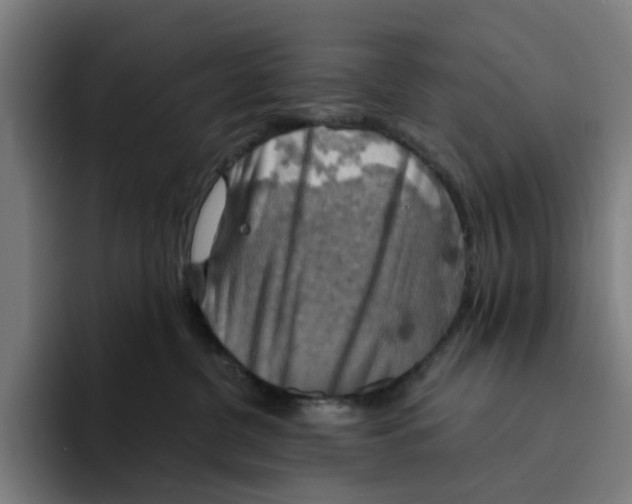 X0000094210380200711161834