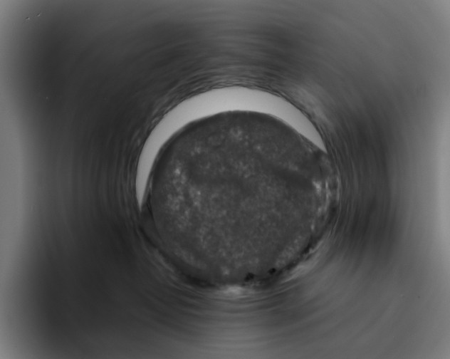 X0000094210382200711161834