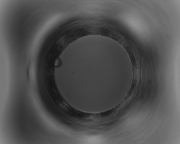 X0000094210383200711161834