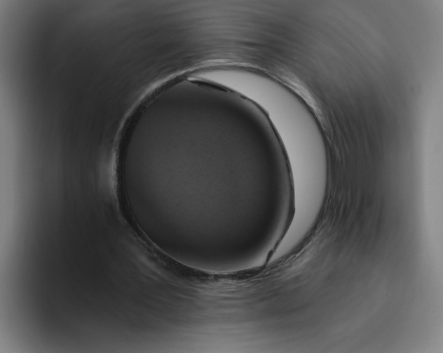 X0000094210387200711161833
