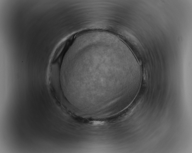 X0000094210388200711161833