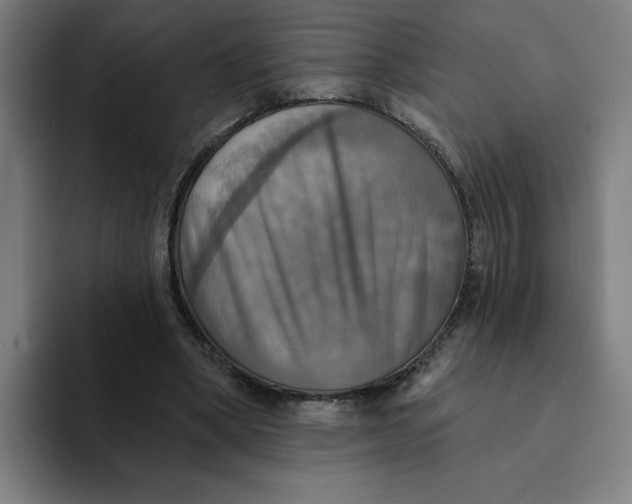 X0000094210394200711161833