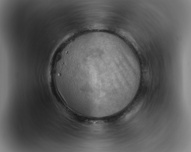 X0000094210395200711161833