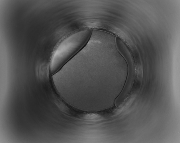 X0000094210397200711161833
