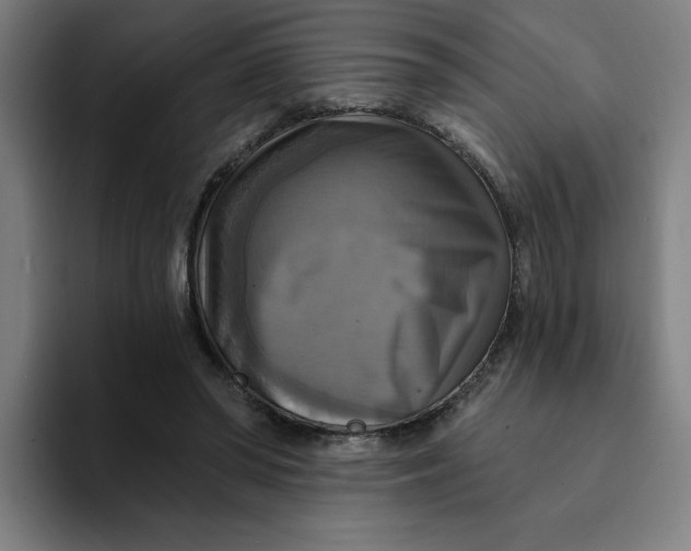 X0000094210398200711161833