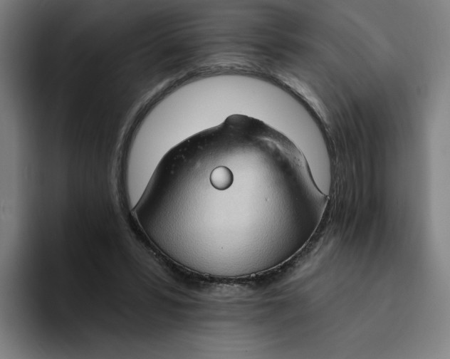 X0000094210399200711161833