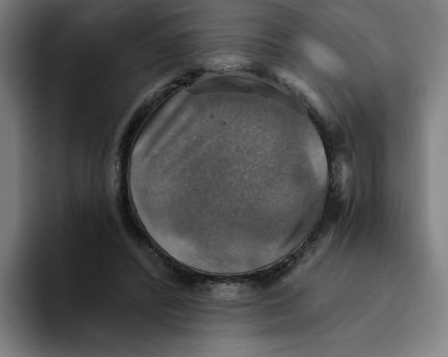 X0000094210400200711161833