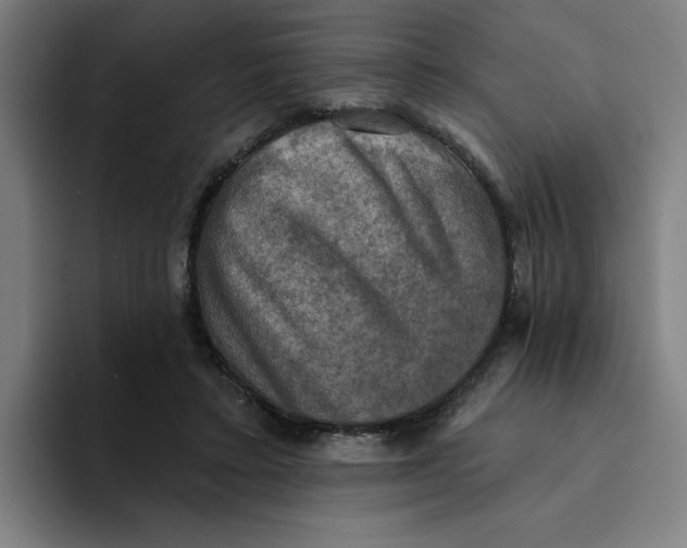 X0000094210403200711161833