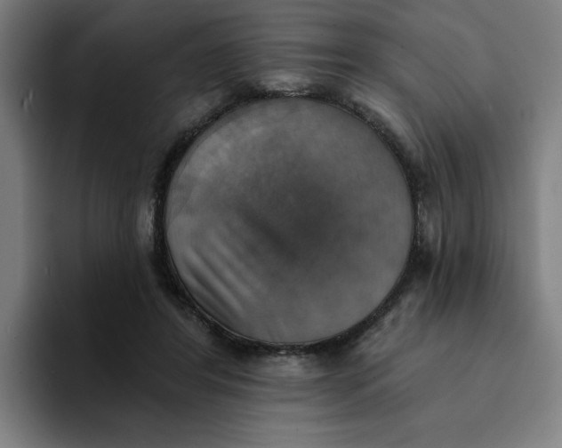 X0000094210404200711161833