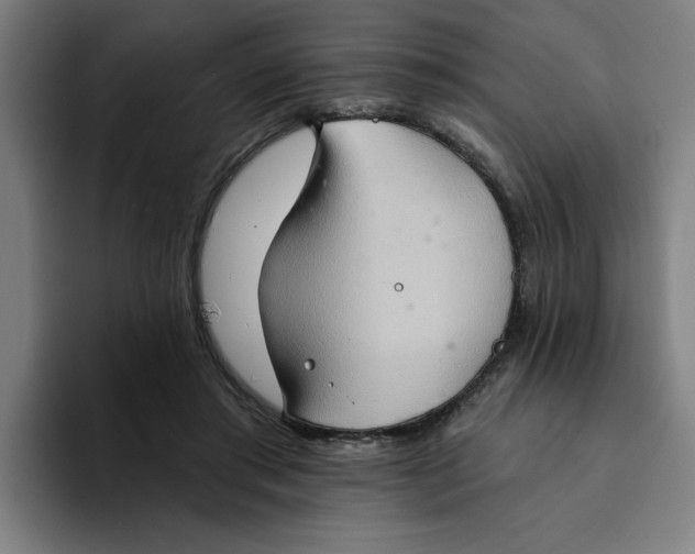 X0000094210405200711161833