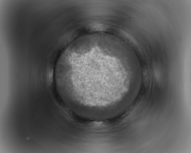 X0000094210406200711161833