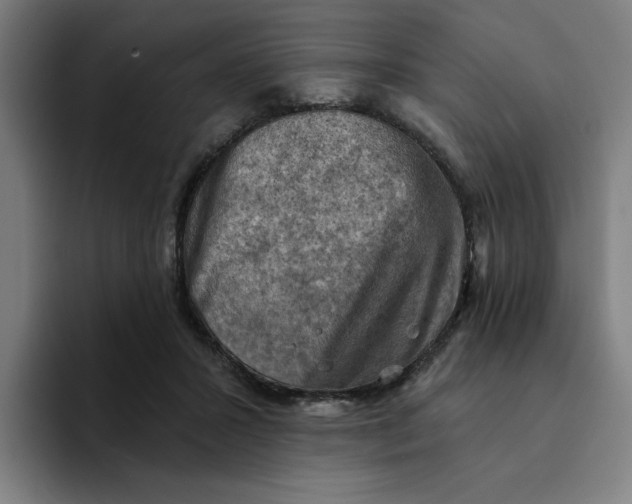 X0000094210407200711161833