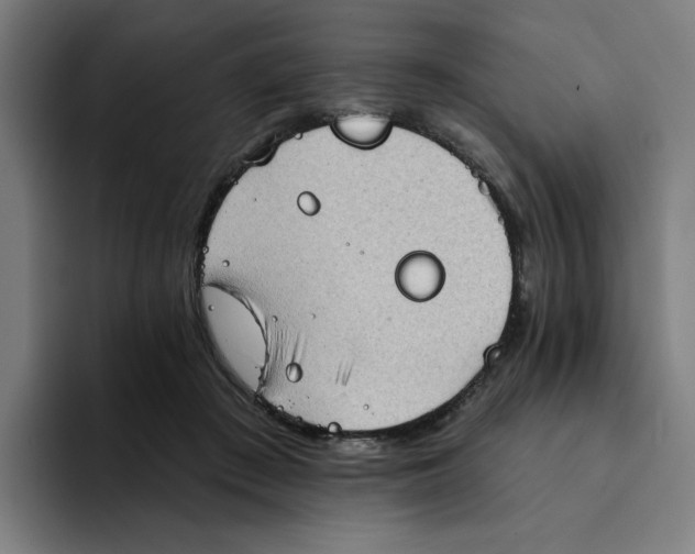 X0000094210409200711161833