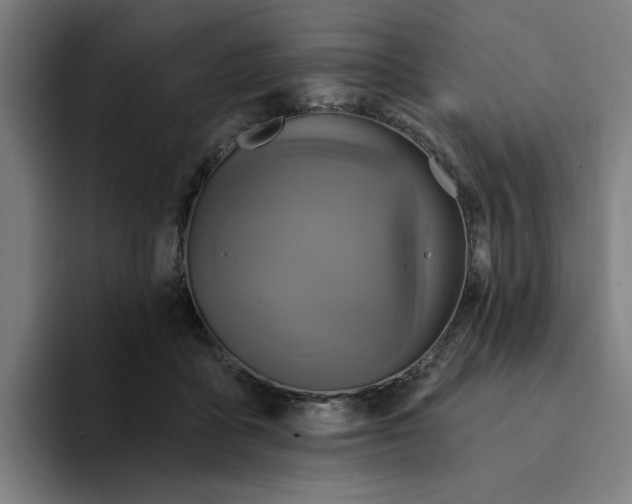 X0000094210411200711161833