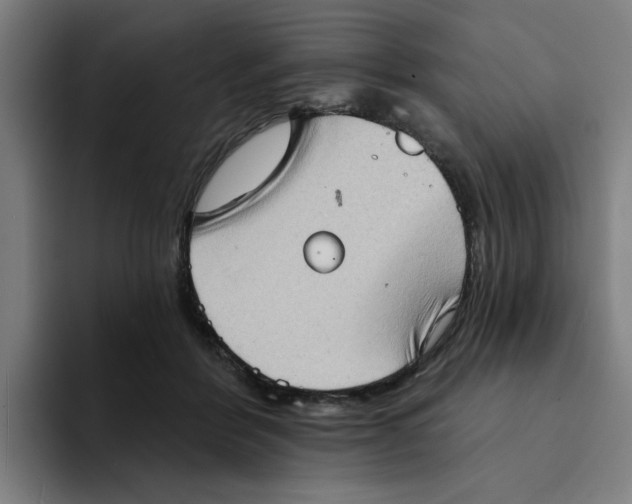 X0000094210412200711161833