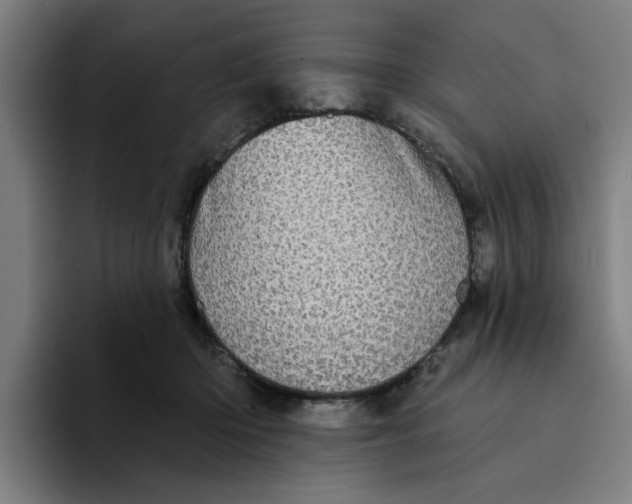 X0000094210414200711161833