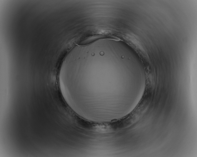 X0000094210415200711161833