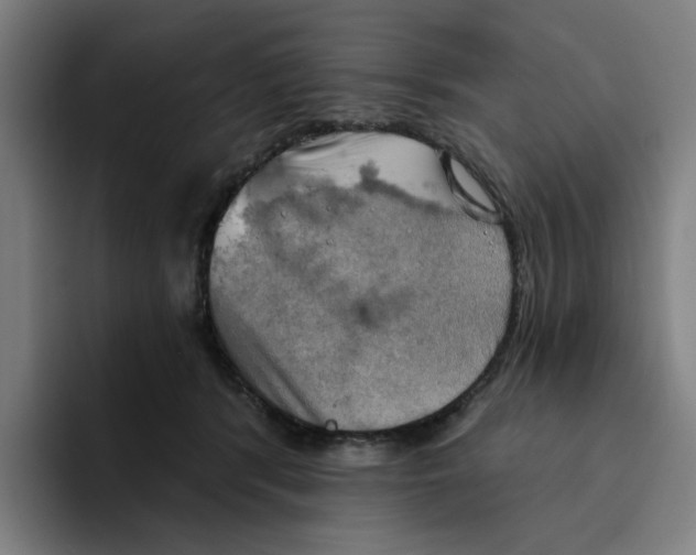 X0000094210416200711161833