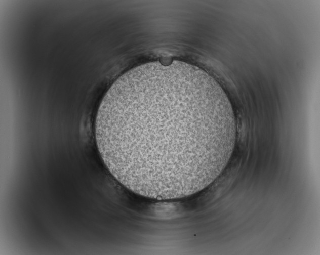 X0000094210418200711161832