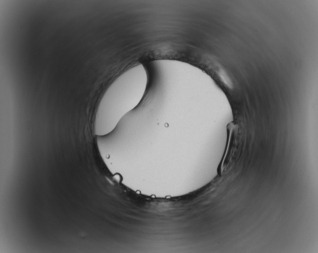 X0000094210419200711161832