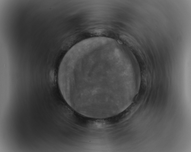 X0000094210420200711161832