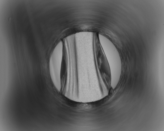 X0000094210421200711161832