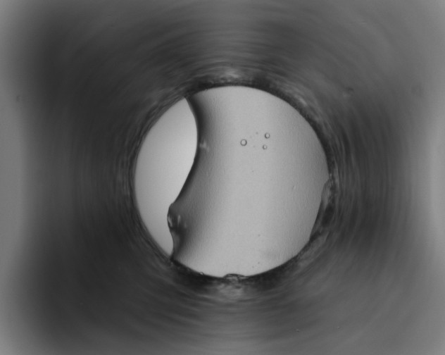 X0000094210423200711161832