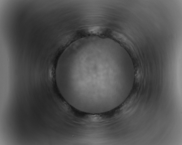 X0000094210424200711161832