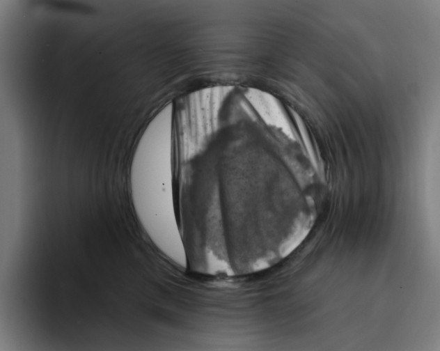 X0000094210425200711161832
