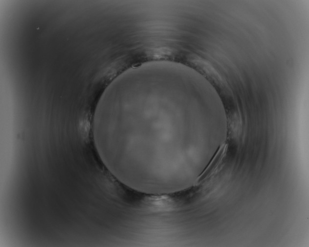 X0000094210427200711161832