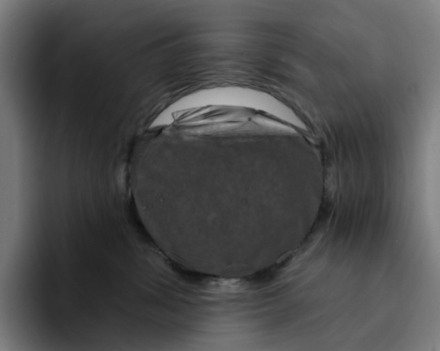 X0000094210428200711161832