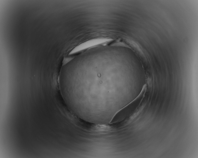 X0000094210429200711161832